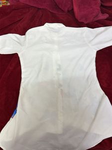 Butterfly Print White Shirt xxl