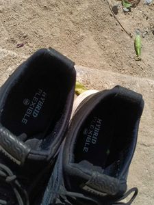 Shoes For Routine Wear