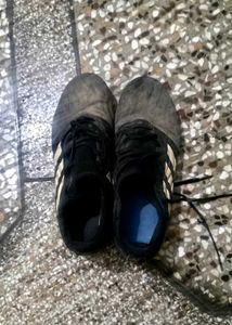 Adidas Sport Shoes