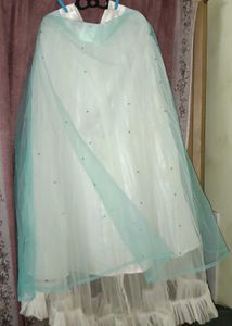 🆕 Shine Net Lahenga With Pearl Work