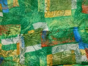 Used Lenin Joint Saree