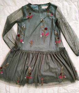 Embroidered Tulle Mini Dress