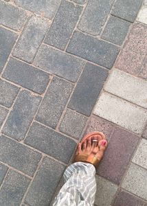 Brown Slipper