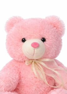 Pink Teddy Bear