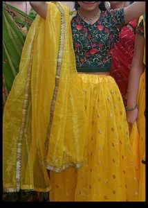 Looking Very Nice 2 Choli Combo