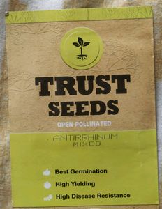 Antirrhinum Mixed Seeds