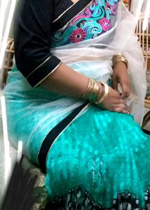 Elegant Saree Without Blouse