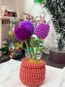 Handmade Tulip Buds Crochet Flower Pot