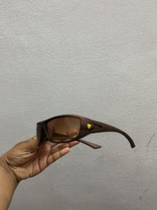 Brown Sunglasses