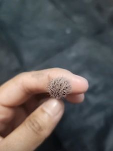 Plume - Big Eye Blending Brush