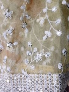 Combo 2 Embroidered Dupatta