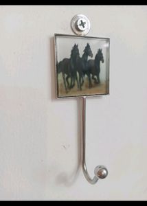 Designer Wall Hooks