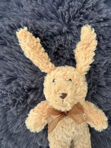 Soft Toy