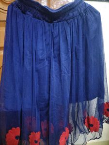 Navy Blue Net Skirt with Floral Detailing.