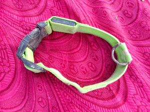 Dog Neck Belt