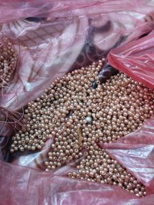 Craft Beads