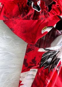 Very Beautiful Swan Red And White Dress