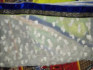 Elegant Lime Green With White Phalu Saree