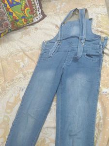Light Wash Denim Overalls