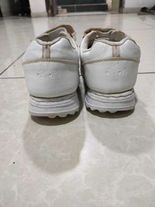 Asian White Sport Sneakers