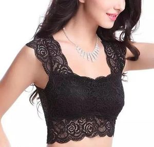 Stylish Lace / Net Bra