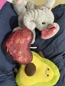 Stuffed Heart