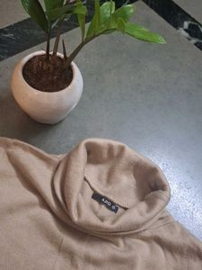 Striped Sleeve Turtleneck Sweater