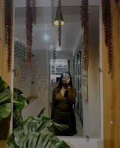 Bodycon Brown Dress