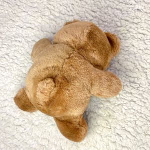 Cute Fluffy Teddy Bear 🧸