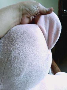 new huge Pink Teddy Bear