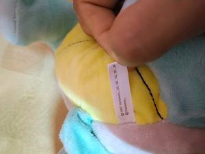 plush toy of Squirtle