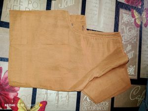 Shiny Saree With Blouse