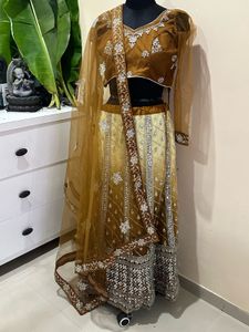 Embroidered Lehenga Choli