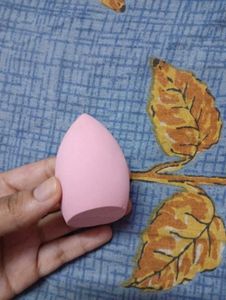 Makeup Sponge Combo