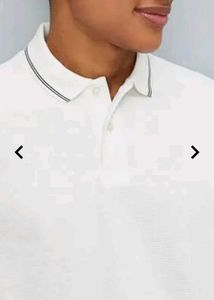 Roadster White Casual Polo T Shirt