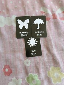 Eye And Brain Development Cards