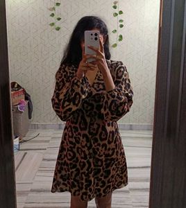 Leopard Print Mini Dress