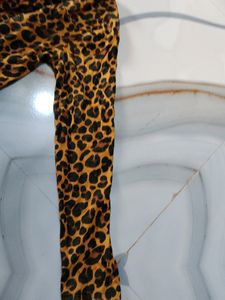 Tiger Print Short Top
