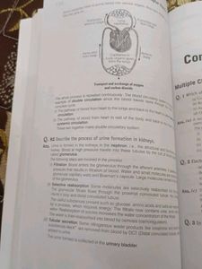 Ncert Exampler