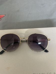 Sunglasses with golden detailing