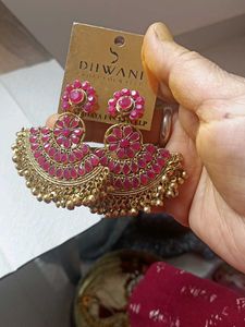 Very Elegant Earrings