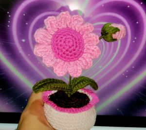 Crochet Pink Potted Flower