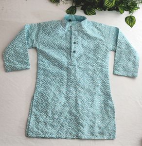 Light Blue Embroidered Ethnic Kurta (Boy's)