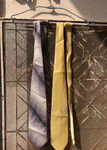 Pack Of 2 Ties💗