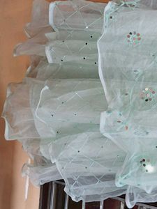 Mint Green Embellished Lehenga