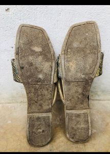 Cushioni Flipflop/slipper