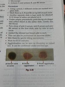 Competency Based Q &amp; A In Physiology