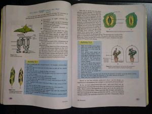 Class 10th Science Book NCERT