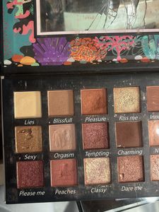 Eye Shadow Palette &amp; Nykaa lipstick free