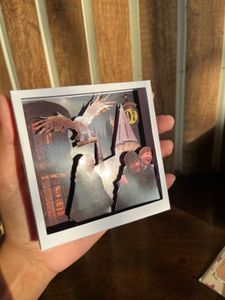 Harry Potter Collectibles